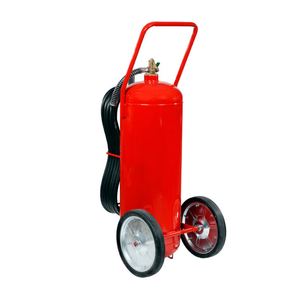 Matafuego 25kgs CO2